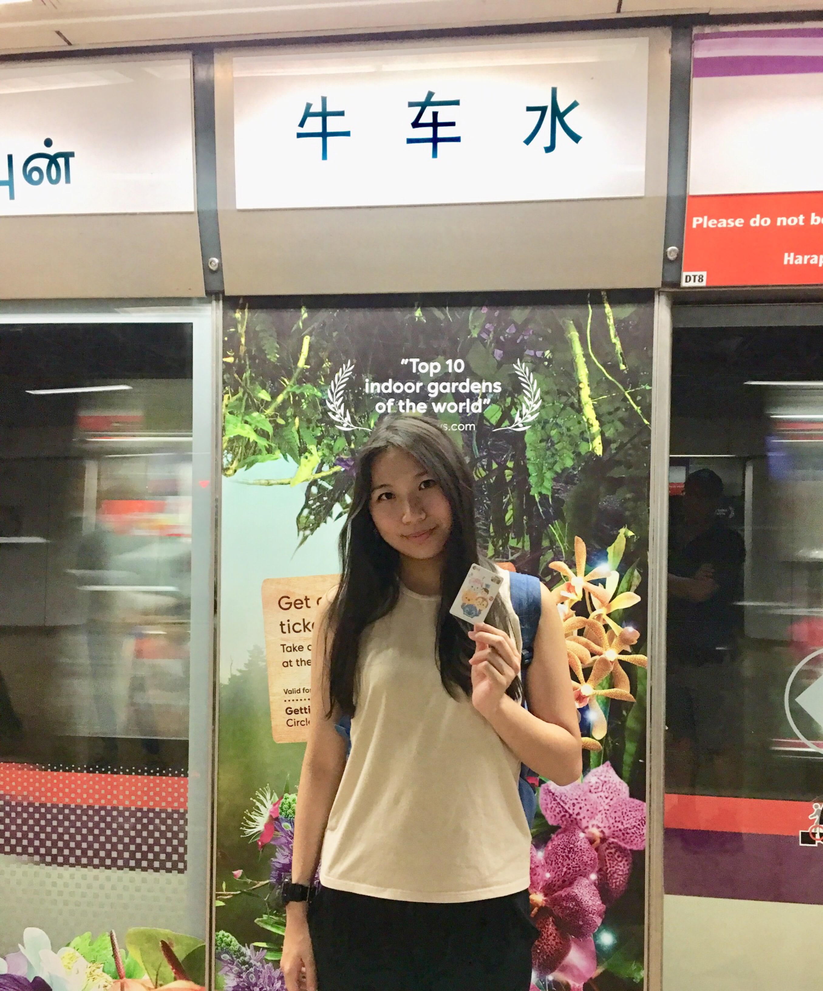 新加坡漫旅 （ 三 ）