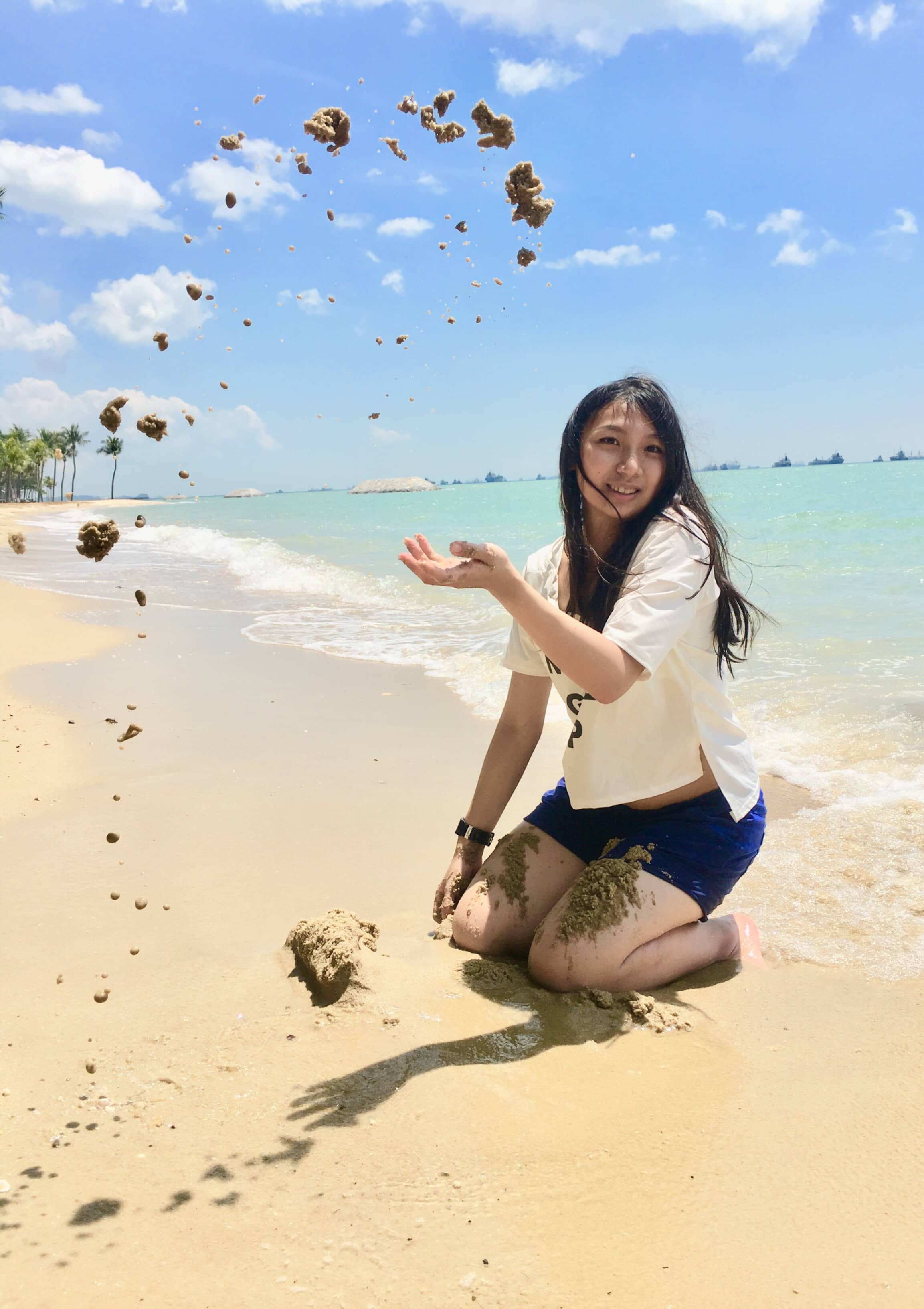 新加坡漫旅 ( 四 )