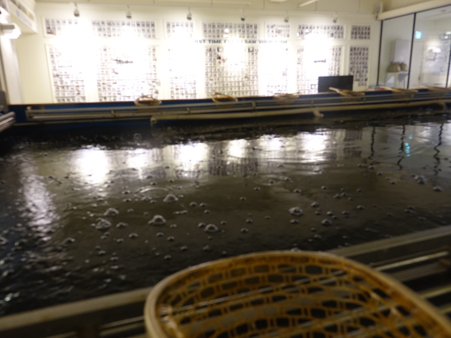 신논현역 7번출구